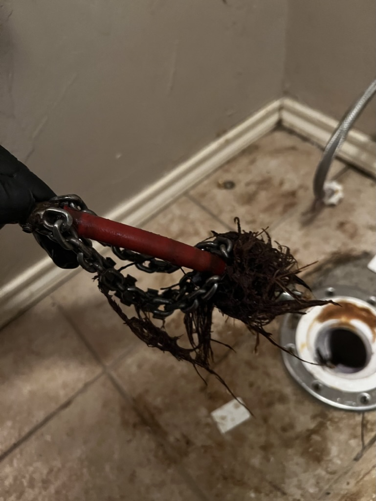 Plumbing snake with roots, clogged drain repair